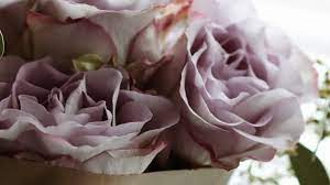 We at toronto bulk flowers offer engaged young couples the option to buy affordable fresh cut flowers and have fun designing their own dream weddings. 25 Mother S Day Flower Gift Delivery Pickup Options In Ottawa To Do Canada