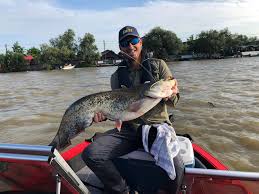 Pestele heniochus acuminatus este un peste usor adaptabil la medii noi, usor de ingrijit, atat timp cat primeste conditiile necesare. Specii De Pesti In Apele Din Romania Blog Totalfishing