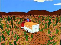This photo provided by the northwest fire district shows where a driver escaped injury when his car's windshield was pierced by the trunk of a saguaro cactus. Hey Kids Wanna Drive Through That Cactus Patch Thesimpsons