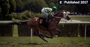 Best photographs kitchen countertops corner style kitchen countertops set the tone for your kitchen, so choose materials and a look you need kitchen shelves in your life! Jockey Robbie Davis Now Welcomes Offspring Into The Saddle The New York Times