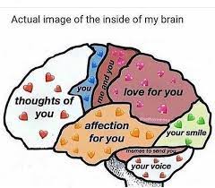 Pin By Alanis On A Soft Memes Cute Love Memes Love You Meme Flirty Memes