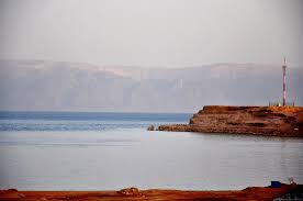 Image result for Zygophyllum leucocladum