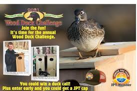 One of the two different house styles should work for you. Build A Wood Duck House