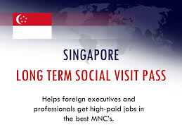 Ppt Singapore Long Term Social Visit Pass Powerpoint Presentation Free Download Id 7303907