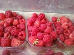 Spaniolii trăiesc mai mult, dar cu sănătate mai rea.federația de studii economice aplicate. Agricultura Pagina 20 Munca Top Locuri De Munca In Europa Si Romania