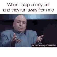 The show featured a musical format, with each episode devoted to a specific genre of music. Austin Powers Meme Gifs Tenor