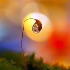 Page 16 ألف قصة وقصة من قصص الصالحين والصالح. Language Collect Hans Wehr Freqlist At Master Zcwfeng Language Collect Github