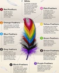 You Flow Like A Feather In A Beautiful World Image Result For Fashion Feather Colors And Meanings Finding Feathers Brown Feather Meaning Feather Color Meaning