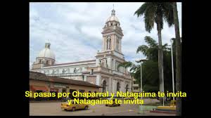 Rodrigo silva ramosla tierra de mis amores,tierra donde yo nacídonde a una mujer bonitaen. Rajalenas Del Tolima Grande Asi Se Trova En Colombia Youtube