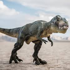 I used to believe that being a good soldier meant doing everything they told you. Baby T Rex Goes On Sale On Ebay Sparking Paleontologists Outcry Dinosaurs The Guardian