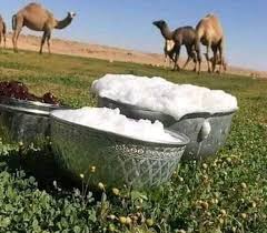 هل تعلم أن حليب الابل العلاج الفعال لفيروس الكبد هل تعلم أن مبيد الحشرات الطائرة علاج للسعة العقرب هل تعلم أن الثعابين لا تقترب من مكان فيه رائحة البترول