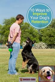 Potty Training A Puppy With And Dog Behavior Specialist Jobs Puppy Training Dog Behavior Dog Behavior Problems