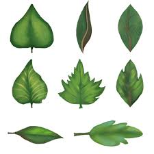 Oxana On Twitter I Share These Game Leaves Texture To Anyone Who Wants Gamedev Assets Free Download leaf texture with brown color macro texture for your creative photoshop work free. wants gamedev assets