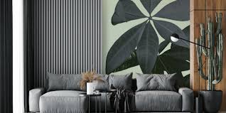 Image result for pachira obrázek