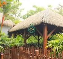 Best Fireproof Synthetic Nipa Palm Thatch Roof For Bungalow ...