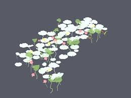 White Water Lily 3d Model 3ds Max Files Free Download Modeling 34620 On Cadnav Water Lily File Free 3d Model