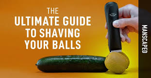 Maybe you would like to learn more about one of these? The Ultimate Guide To Shaving Your Balls Manscaped Blog