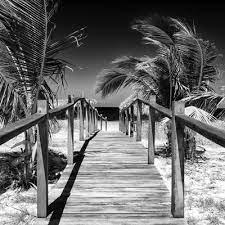 Follow the vibe and change your wallpaper every day! Cuba Fuerte Collection Sq Bw Wooden Jetty On The Beach Photographic Print Philippe Hugonnard Art Com