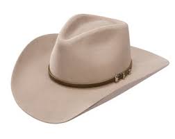 Stetson Seneca 4x Buffalo Fur Hat Silver Sand In 2021 Cowboy Hats Felt Cowboy Hats Wallet Fashion