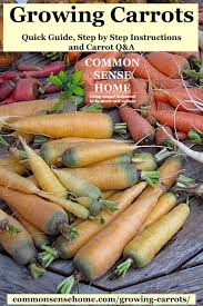 Maybe you would like to learn more about one of these? Growing Carrots From Planting To Harvest Learn How To Grow Carrots