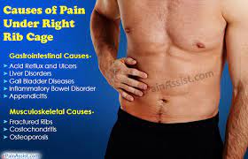 The rib cage protects the although each rib has its own rom (occurring primarily at the costovertebral joint), rib cage shifts occur with movement of the vertebral. What Can Cause Pain Under Right Rib Cage