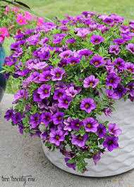 Check spelling or type a new query. Where To Buy Outdoor Planters