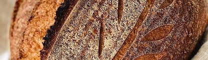 Check spelling or type a new query. In Grano Bakery Against The Grain