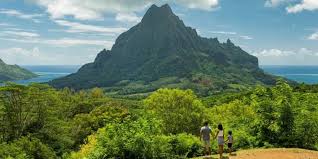 Image result for Mohria