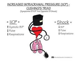 Icp Vs Shock Cushing Triad Nurse Nursing Mnemonics