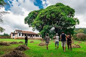 Most rural properties come with land, which you can use to extend your home, grow crops, raise animals, or add extra buildings, as long as you follow local regulations. Tips For Selling Rural Properties Crawford Real Estate