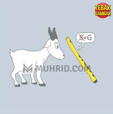 Kunci jawaban game teka teki lainnya: 15 Contoh Kunci Jawaban Revisi Tebak Gambar Level 55 2021 Image Ideas Sigma Blog Edu