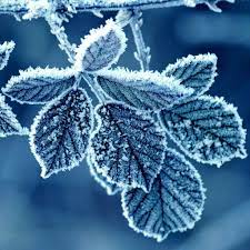 To get the desktop background (wallpaper) click on the required resolution. Ipad Snow Wallpapers Top Free Ipad Snow Backgrounds Wallpaperaccess