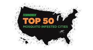 Explore pest control industry job opportunities, plus get information on various career paths within pest control, courtesy of the experts at npma. Terminix Salaries Zippia