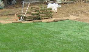 Your Sod Must Be Watered Thoroughly For The First 3 Weeks Deep Watering Is Best But Don T Drown The Sod About 20 Sod Installation Lawn Maintenance Yard Care
