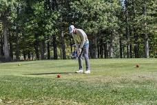 St. Louis Metro Area Golf Tournament