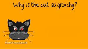 A Silly Cat Joke For Kids Made With Sparkol Video Scribe Cat Jokes Jokes For Kids Silly Cats