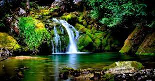 23 Animated Nature Wallpapers For Laptop Free Download Hd Nature Wallpaper Fo Best Nature Wallpapers Beautiful Nature Wallpaper Hd Beautiful Nature Wallpaper