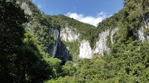 Maybe you would like to learn more about one of these? Mulu National Park A Two Day Itinerary Dominique Travels