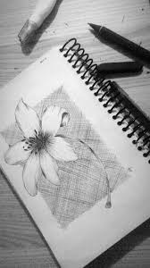 Black And White Drawing Ideas For Beginners Flower Sketch Flower Drawing Sketch Flowerdrawing Pencil Art Sketchbook Idea Black W Flower Sketches Flower Sketch Pencil Pencil Drawings Of Flowers