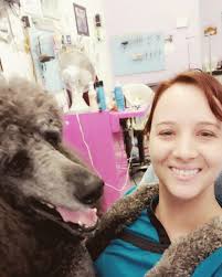 Goose named Goose loves bath time.