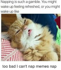 Napping Is Such A Gamble You Might Wake Up Feeling Refreshed Or You Might Wake Up Like Too Bad I Can T Nap Memes Nap Bad Meme On Esmemes Com