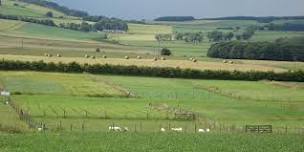 Crop Systems Research Updates and Trial Site Visits