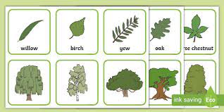 Play free online leaf games on your mobile phone or tablet, including monkey bounce and many other leaf games! Trees And Leaves Match Up Game Games Activities Matching
