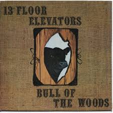 13th Floor Elevators Bull Of The Woods 1968 Http Www Youtube Com Watch V Luue K8ebik 13th Floor Thirteenth Floor 13th Floor Elevators