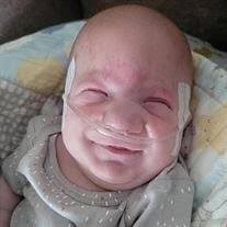 Kamden Jacob Schultz Obituary