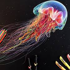 Maybe you would like to learn more about one of these? Eclectic Collection Of Realistic Drawings Jellyfish Drawing Realistic Drawings Jellyfish Painting