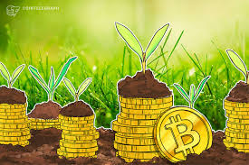 The bitcoin investment trust recently commenced trading on the otcqx market. Us Congress Think Tank Claims Bitcoin Is Used Mostly As Investment Vehicle