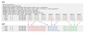 Beta 1.6 is a version of java edition beta released on may 26, 2011, which adds maps, trapdoors, the nether in multiplayer as well as other changes and many bug fixes. Variant Call Format Wikipedia