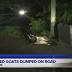 Jacksonville neighbors furious after dead goats left on sidewalk