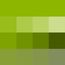Apple Green Hue With Tints Hue White Shades Hue Black And Tones Hue Grey Which Desaturates The Hue Shades Of Green Color Palette Green Colors